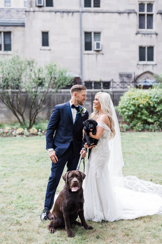 Bride and groom pose on lawn of St Paul Cathedral with their two labrador retrievers